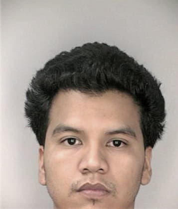 Ernesto Francisco, - Hillsborough County, FL 