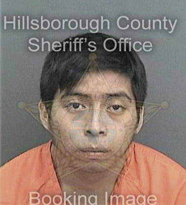 Luis Rodriguezhernandez, - Hillsborough County, FL 