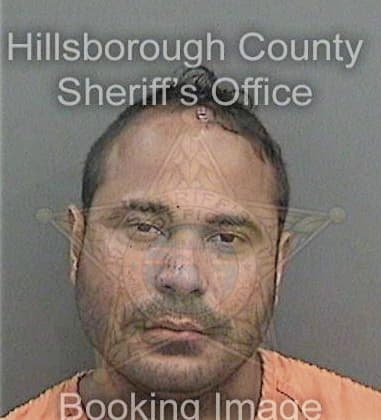 Timothy Tipps, - Hillsborough County, FL 