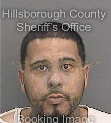 Brad Lewis, - Hillsborough County, FL 