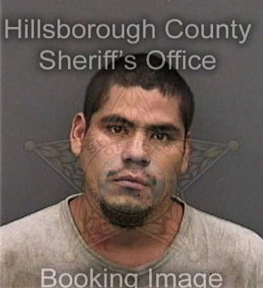 Luis Maldonadosantiago, - Hillsborough County, FL 