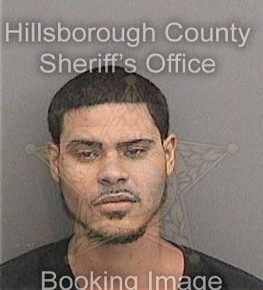 David Pongracz, - Hillsborough County, FL 