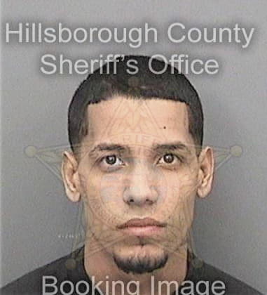 Pedro Gudinomunoz, - Hillsborough County, FL 