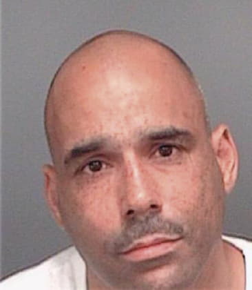 Enrique Jimenezramirez, - Pinellas County, FL 