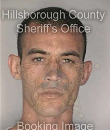 John Lescallett, - Hillsborough County, FL 