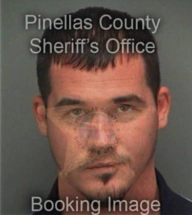 Luke Osment, - Pinellas County, FL 