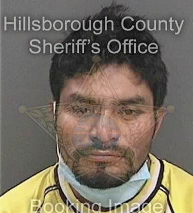 Timothy Wilson, - Hillsborough County, FL 