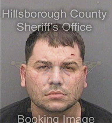 Michael Baldwin, - Hillsborough County, FL 