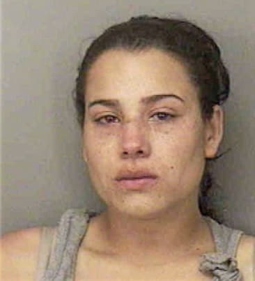 Katherine Collazo-Santos - Polk County, FL 