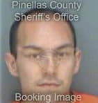 Michael Hamson, - Pinellas County, FL 