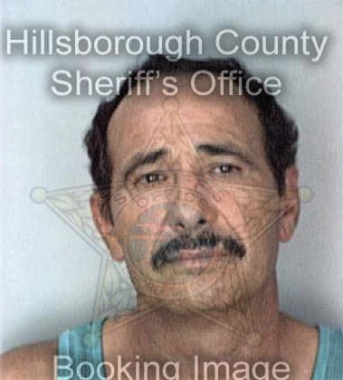 Orlando Hernandez - Hillsborough County, FL 