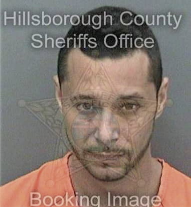 Dean Holloway, - Hillsborough County, FL 