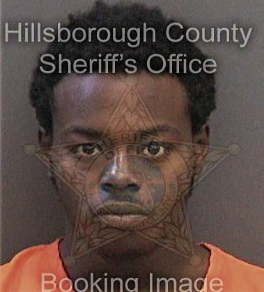 Valdez Lawrence, - Hillsborough County, FL 