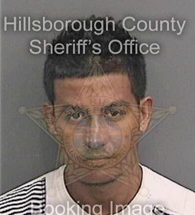 Jose Marcialdejesus, - Hillsborough County, FL 