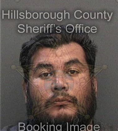 Christian Silva, - Hillsborough County, FL 