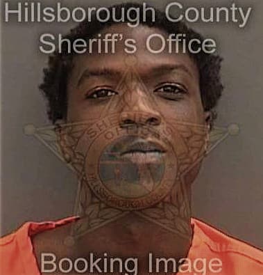 Rodricas Young, - Hillsborough County, FL 