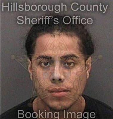 Ronald Hess - Hillsborough County, FL 