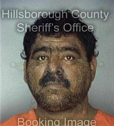 Robert Catalfu, - Hillsborough County, FL 