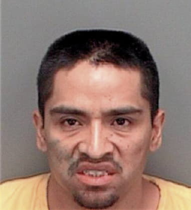 Isidro Hernandez-Gonzalez, - Pinellas County, FL 