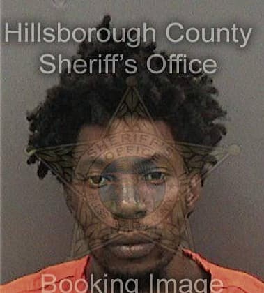 Dwayne Johnson, - Hillsborough County, FL 