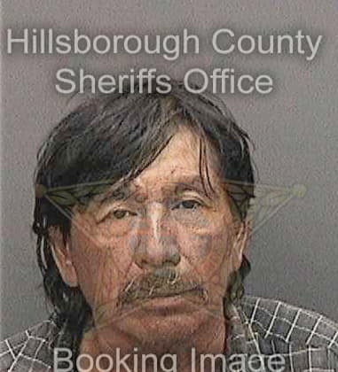 Domenico Opiela, - Hillsborough County, FL 