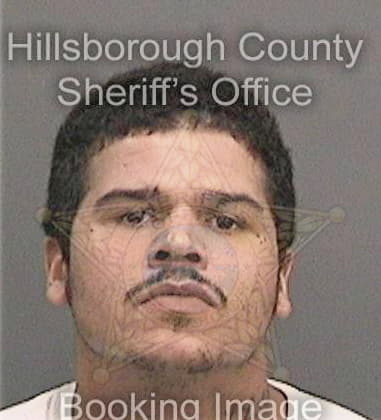 John Bernert, - Hillsborough County, FL 