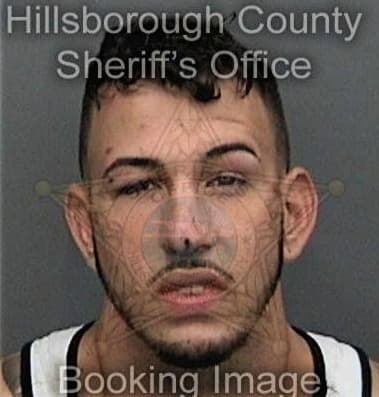 Christopher Bickerstaff - Hillsborough County, FL 