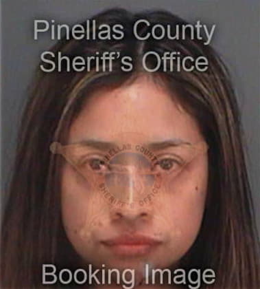 Rosita Cintron, - Pinellas County, FL 