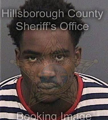 Nixon Fernandezlambert, - Hillsborough County, FL 