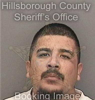 Edgardo Figueroamarcano - Hillsborough County, FL 