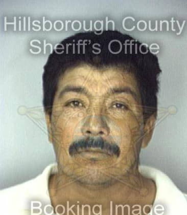 Jose Lopez, - Hillsborough County, FL 