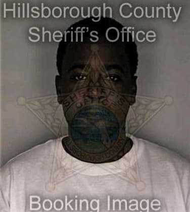 Kenneth Mills - Hillsborough County, FL 
