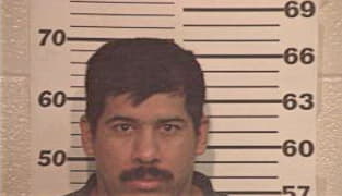 Hugo Romero - Hidalgo County, TX 