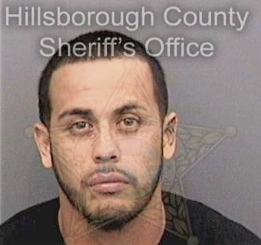 Victor Seanz, - Hillsborough County, FL 