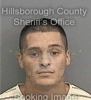 Genry Tornes, - Hillsborough County, FL 