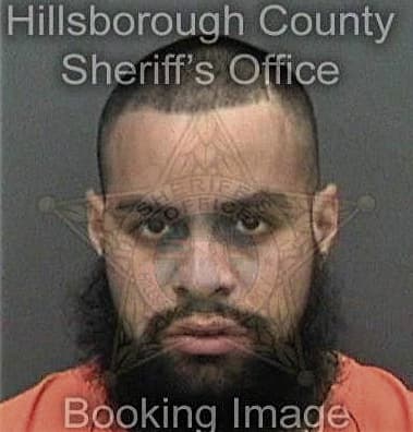 Geronimo Diazperez, - Hillsborough County, FL 