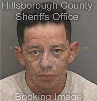 Christopher Scoggins, - Hillsborough County, FL 