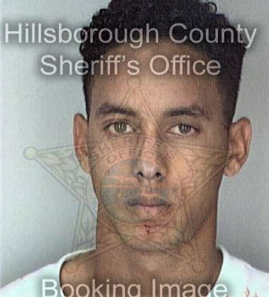Wade Whitlow - Hillsborough County, FL 