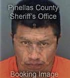 Hector Britoavelino, - Pinellas County, FL 