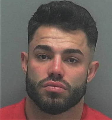 Cristobal Eliseo-Merejildo, - Lee County, FL 