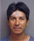 Alvaro Jantes, - Manatee County, FL 