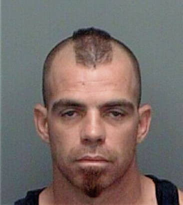 Daniel McAvoy - Pinellas County, FL 