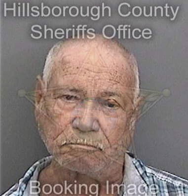 Richard Carson, - Hillsborough County, FL 