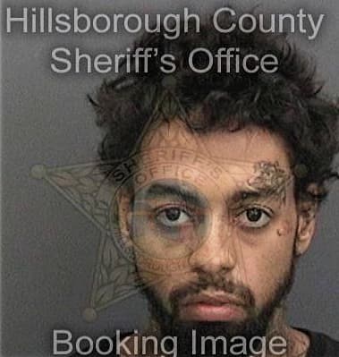 Alvaro Garciabriseno, - Hillsborough County, FL 