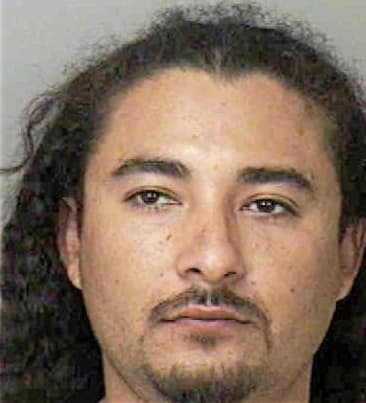 Fernando Jarillo-Rojas, - Polk County, FL 