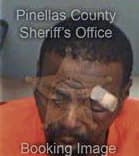 Deangelo Johnson, - Pinellas County, FL 