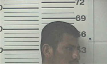 Reynaldo Salamaya, - Levy County, FL 