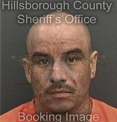 Manuel Yanes, - Hillsborough County, FL 