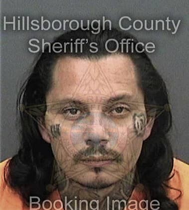 Rovin Alvaradomorales, - Hillsborough County, FL 