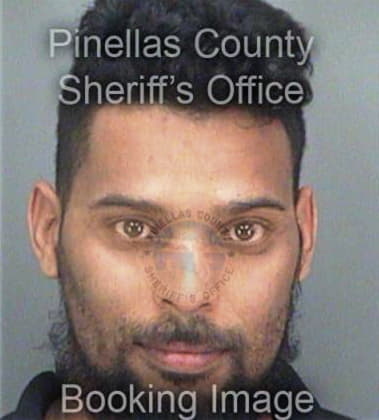 Ernest Beneche, - Pinellas County, FL 